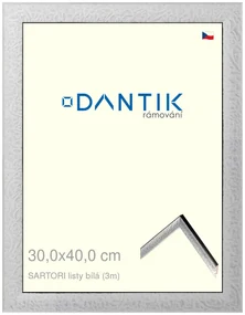 DANTIK rám na obraz 30x40 | SARTORI listy čílá (Plexi Čiré)