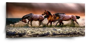 Sablio Obraz Kone vo vode - 110x50 cm
