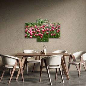 Obraz tulipánov (90x60 cm)