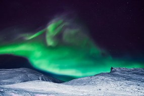Fototapeta polárna žiara na oblohe - 225x150
