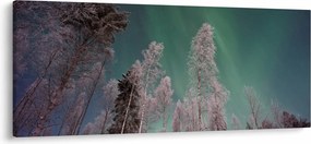 Obraz polárna žiara nad zamrznutými stromami (120x50 cm)