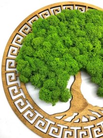 Strom na stenu z machu Hermiona 30 cm