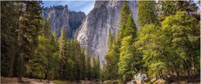 Obraz - Pod Yosemite skalou (120x50 cm)