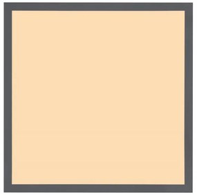 Globo 416080WD2 - LED Stropné svietidlo DORO LED/24W/230V