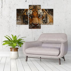 Obraz - Portrét tigra vo vode (90x60 cm)