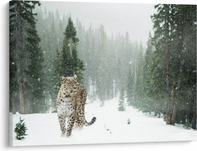 Obraz leoparda v snehu (70x50 cm)