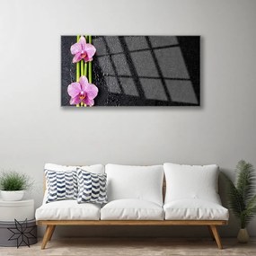 Obraz plexi Bambus kvet rastlina príroda 100x50 cm