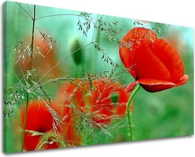 Obraz na stenu KVETY KV094E11 - 60x90 cm