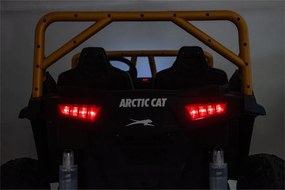LEAN CARS Elektrická bugina na batérie Arctic Cat WILDCAT XX 24V14AH zelená
