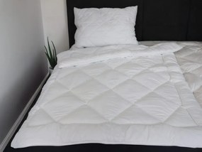 2G Lipov Súprava Aloe Vera celoročná - 135x200 / 70x90 cm | akce 1+1 (2ks)
