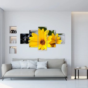 Obraz žltej kvetiny (125x70 cm), 40 ďalších rozmerov