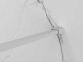 Erga Paris, sprchová zástena Walk-In 100x200 cm, 8mm sklo námraza, brúsená oceľ, ERG-V02-PARIS-100x200-FR-BS