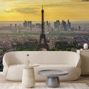 Fototapeta - Panoráma Paríža (147x102 cm)