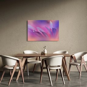Obraz - Kvapka na kvete (90x60 cm)