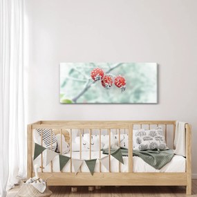 Obraz zmrznutých šípok (120x50 cm)