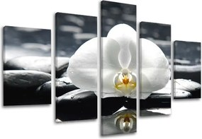 Obraz na stenu 5 dielny FENG SHUI FS018E50