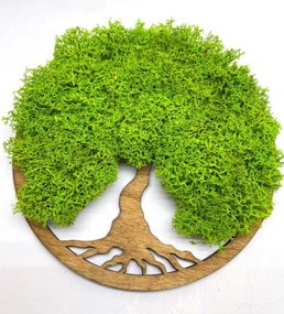 Strom na stenu z machu Aine 20 cm