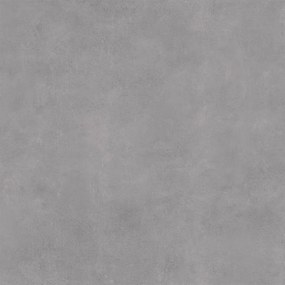 Gresová dlažba Diamante Light Grey 60/60