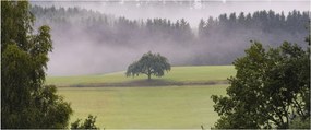 Obraz lúky so stromom (120x50 cm)