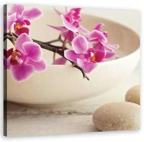 Obraz na plátně, Růžové orchideje v misce - 60x60 cm