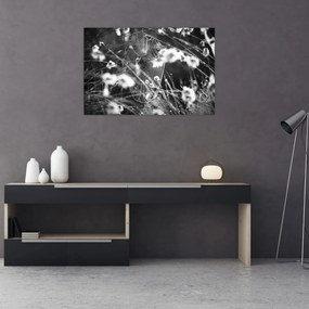 Obraz - Pavučina na lúke (90x60 cm)