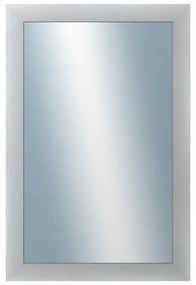 DANTIK - Zrkadlo v rámu, rozmer s rámom 40x60 cm z lišty LEDVINKA biela (2770)