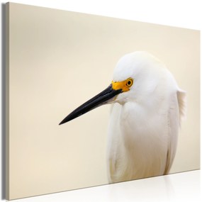 Artgeist Obraz - Snowy Egret (1 Part) Wide Veľkosť: 90x60, Verzia: Na talianskom plátne