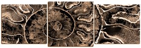 Obraz na plátne - Textúra fosílie - panoráma 5174FD (90x30 cm)
