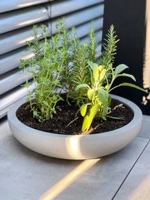 Okrasná miska PLANA, sklolaminát, Ø 54 cm x výška 14 cm, betón design