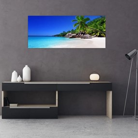 Obraz pláže na Praslin ostrove (120x50 cm)