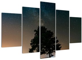 Obraz nočnej oblohy so stromami (150x105 cm)