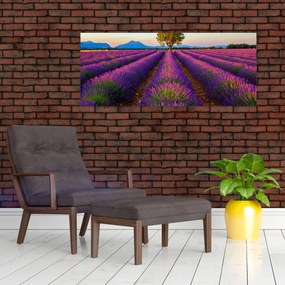 Obraz - Levanduľové pole (120x50 cm)