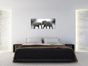 Obraz - čiernobiele slony (120x50 cm)