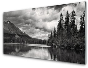 Skleneny obraz Hora les jazero príroda 100x50 cm
