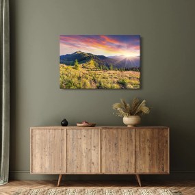 Obraz - Lesná krajina (90x60 cm)