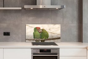 Nástenný panel  zelené papagáje 100x50 cm