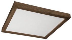 Brilagi-LED Stmievateľné svietidlo WOODY FRAME LED/50W/230V dub 60x60 cm IP44 + DO