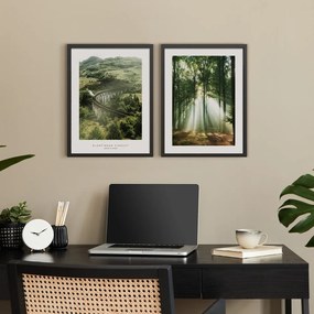 Obrazy v súprave 2 ks 30x40 cm Woods – Styler