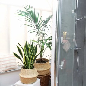 Compactor Pletený úložný košík z morskej trávy Belly, 35 x 32 cm, prírodná, M