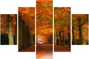 Obraz - Jeseň Alej stromov (150x105 cm)