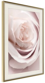 Artgeist Plagát - Porcelain Rose [Poster] Veľkosť: 30x45, Verzia: Zlatý rám s passe-partout