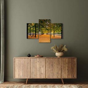 Obraz aleje jesenných stromov (90x60 cm)