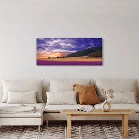 Obraz levanduľovej lúky (120x50 cm)