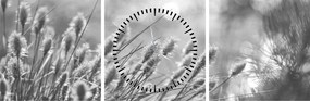Obraz - Béžová soft grass N⁰1 (s hodinami) (90x30 cm)