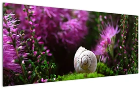Obraz - Slimáková ulita (120x50 cm)