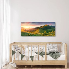 Obraz - Letná krajina (120x50 cm)