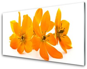 Obraz na akrylátovom skle Oranžové kvety 100x50 cm