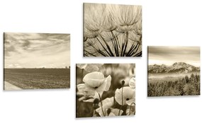 Set obrazov sépiová krajina s kvetmi