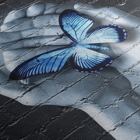 Obraz - Motýľ na stene (120x50 cm)