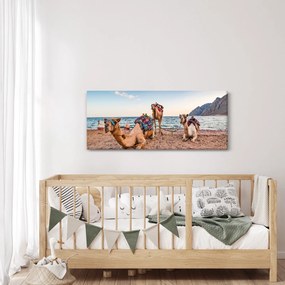 Obraz tiav (120x50 cm)